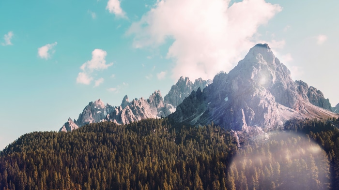 Mountain range with forest and sky