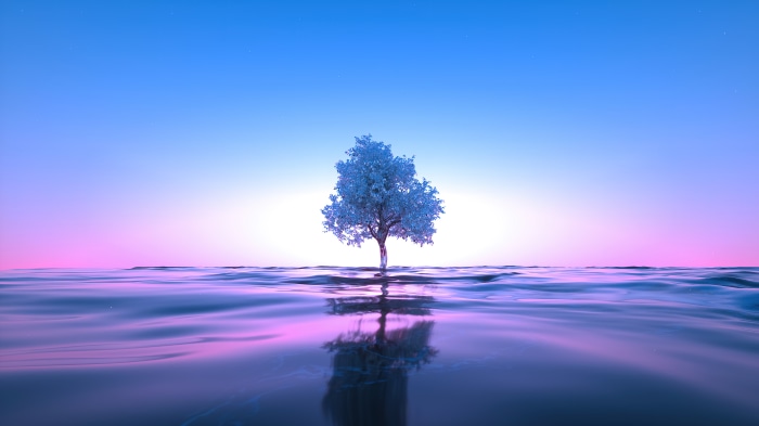 Tree in the ocean with reflection 4K