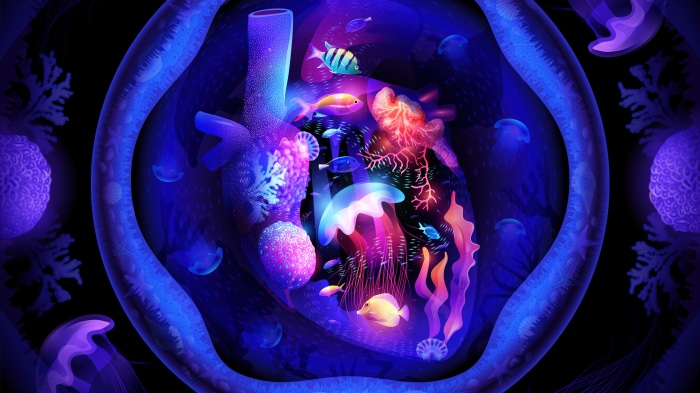 Heart aquarium with fish and jellyfish 4K