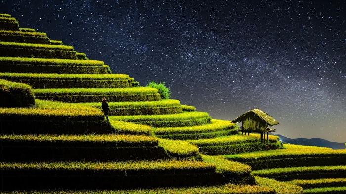 Rice terraces under a starry night sky