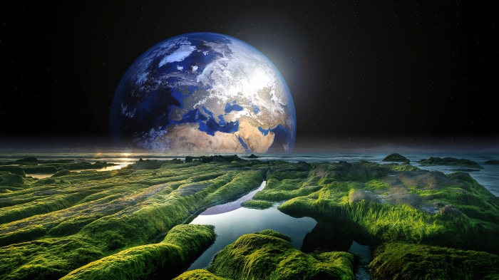 Planet Earth from space over mossy rocks