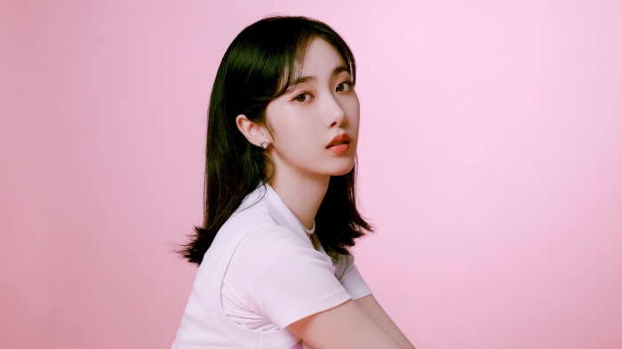 SinB from Viviz