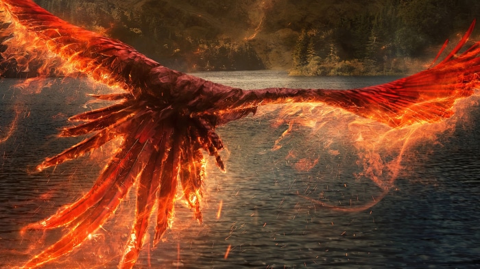 Phoenix from Fantastic Beasts: The Secrets of Dumbledore 4K
