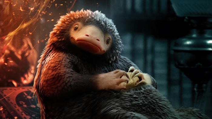Niffler from Fantastic Beasts 3 4K