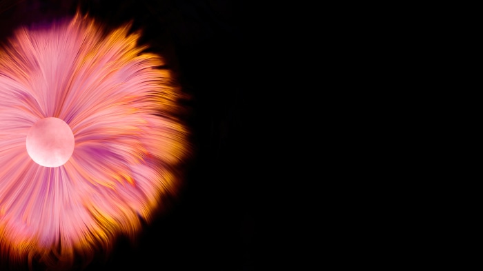 Abstract peach flower digital art 4K