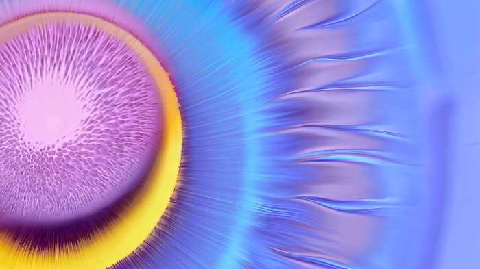 Abstract purple and blue digital art 4K