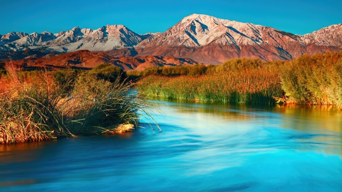 River flowing through reeds with snow-capped mountains in the background, 4K