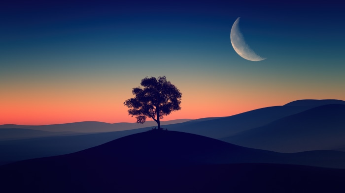 Tree on hill with crescent moon at dusk 4K