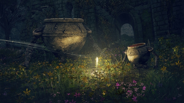 Elden Ring 4K game background