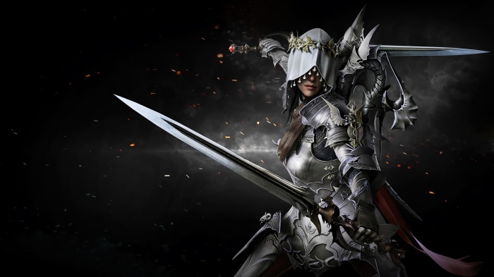 Assassin from Lost Ark