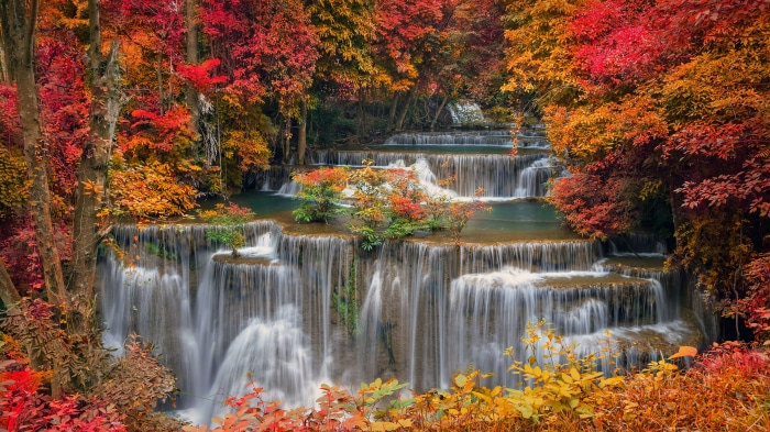 Waterfall in autumn forest scenery 4K