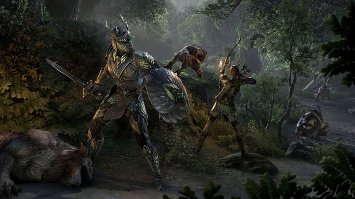 The Elder Scrolls Online 4K