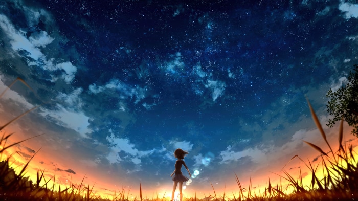 Anime girl standing in a field under a starry sunset sky