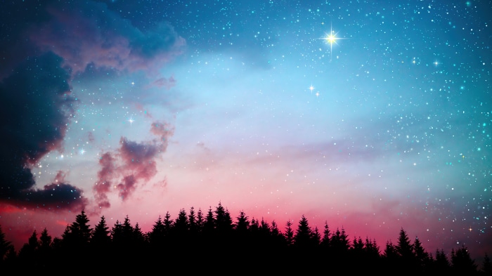 Night sky with stars over a forest silhouette