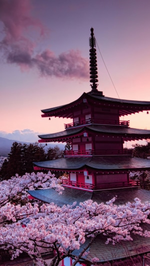 Chureito Pagoda with Cherry Blossoms and Mount Fuji