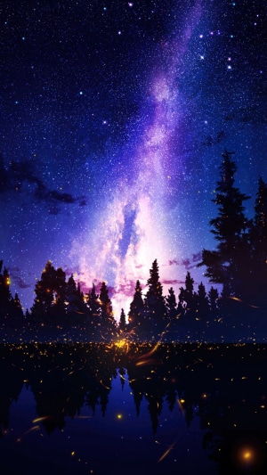 Starry Night Sky Over a Forest and Reflection