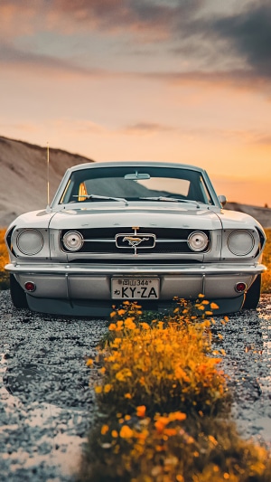 Classic Ford Mustang parked by flowers at sunset