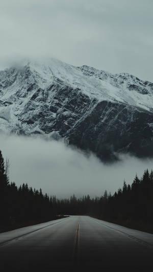 Road leading to a snow-capped mountain through a foggy forest