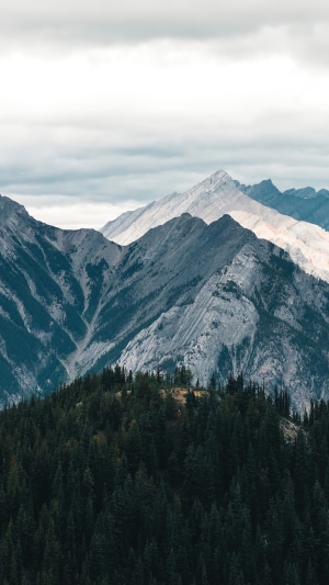 Mountain range with forest in the foreground