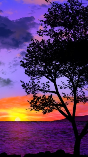 Silhouette of a tree against a vibrant sunset over the ocean