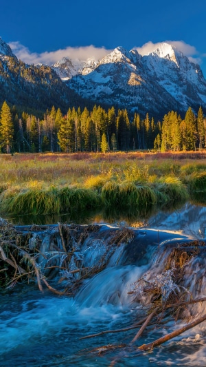 Snow-capped mountains and forest by a river in the USA