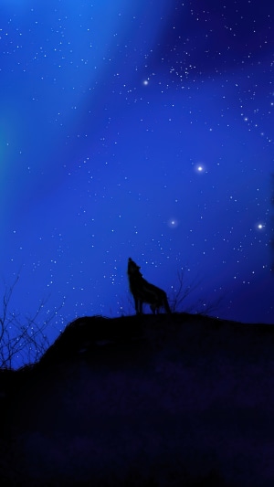 Wolf howling at the starry night sky