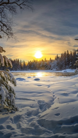 Winter sunrise over a snowy forest and river
