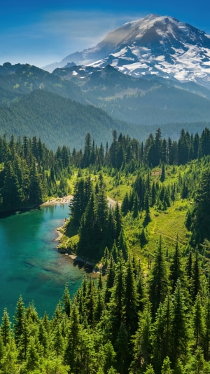 Turquoise lake and snow-capped mountain in a forest