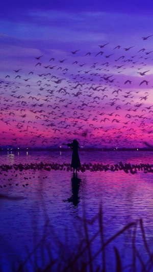 Silhouette of a person playing violin with birds flying at sunset
