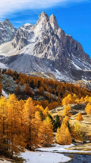 Autumn forest with snow-capped mountains