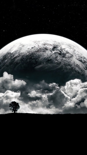 Planet and clouds over a silhouetted tree