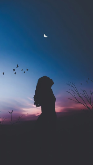 Silhouette of a woman against a twilight sky with a crescent moon and birds
