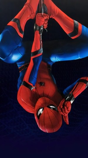 Spider-Man from Marvel Comics