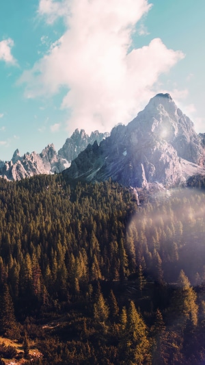Mountain range with pine forest and clouds