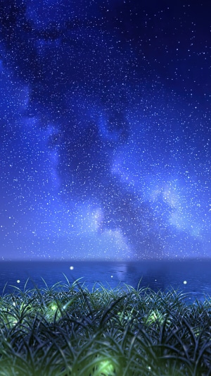 Starry night sky over the ocean with grass
