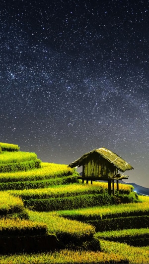 Rice Terraces Under a Starry Night Sky