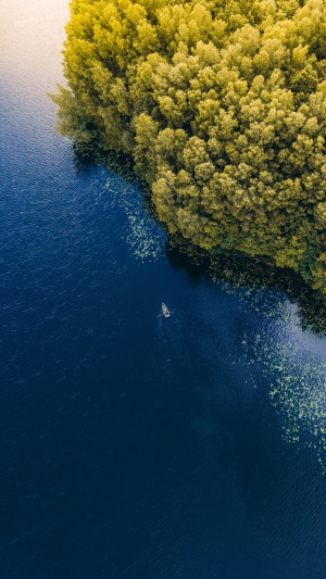Aerial view of a boat on a lake near a forest