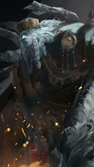 Elden Ring character with crown and braids