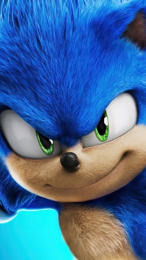 Sonic the Hedgehog from Sonic the Hedgehog 2