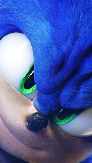 Sonic the Hedgehog 2 Movie