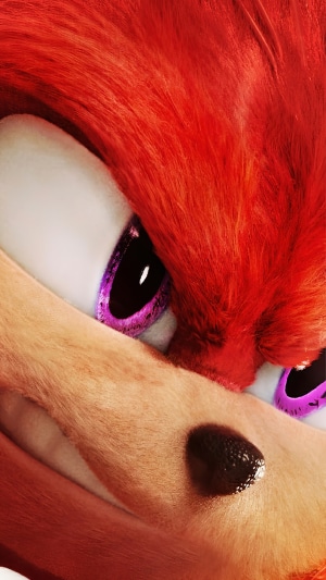 Knuckles from Sonic the Hedgehog 2