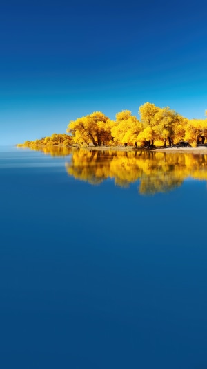 Yellow trees reflected in a blue lake under a clear sky