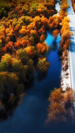 Aerial view of autumn forest and river next to road