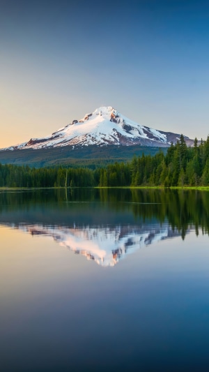 Snow-capped mountain reflected in a calm lake with a forest