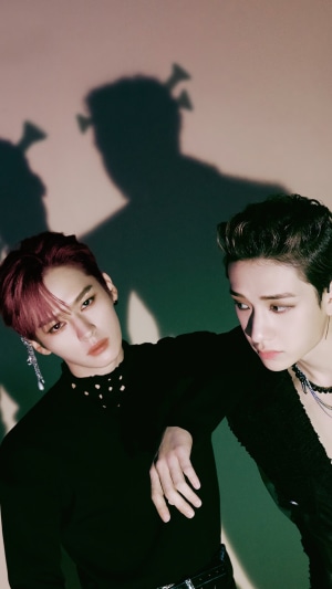 Stray Kids Lee Know and Bang Chan with Shrek shadow