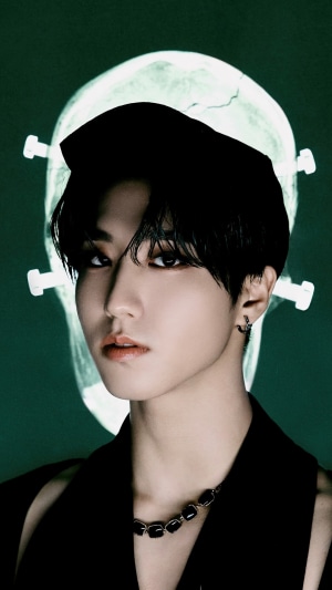 Han Ji Sung from Stray Kids