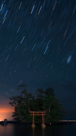 Torii gate and trees under star trails at night