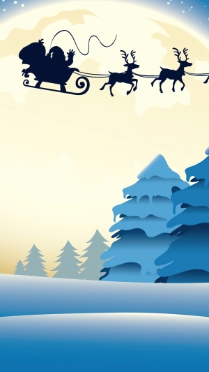 Santa Claus and reindeer silhouette in the night sky