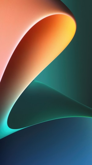 Abstract colorful paper curves