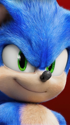 Sonic the Hedgehog from Sonic the Hedgehog 2